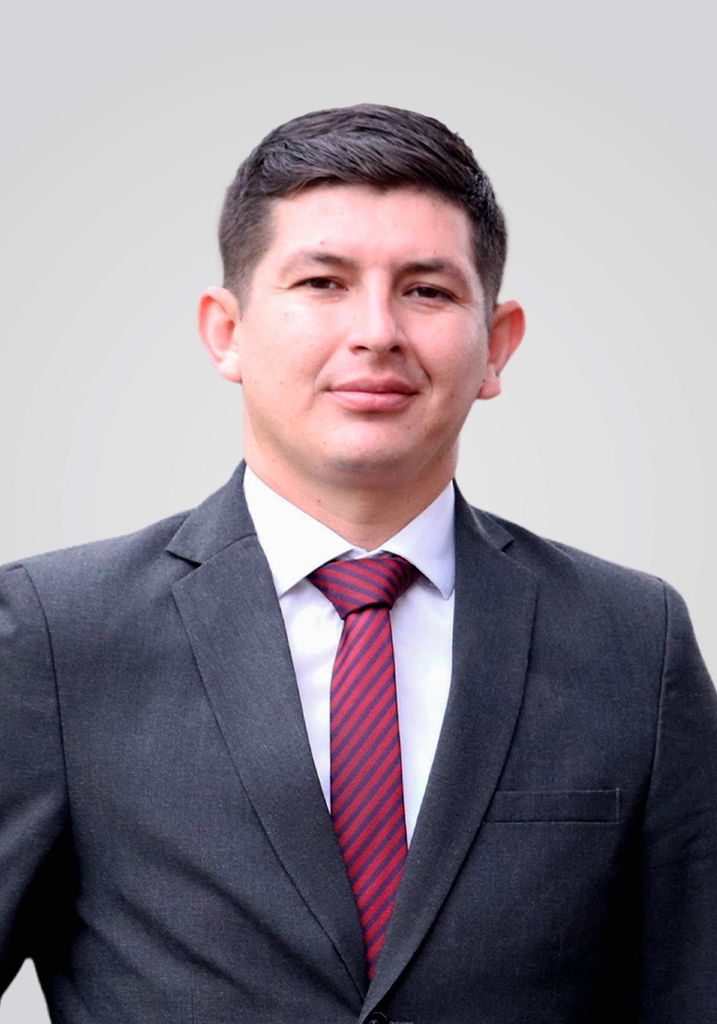 Ing. Fabián Bravo Celis